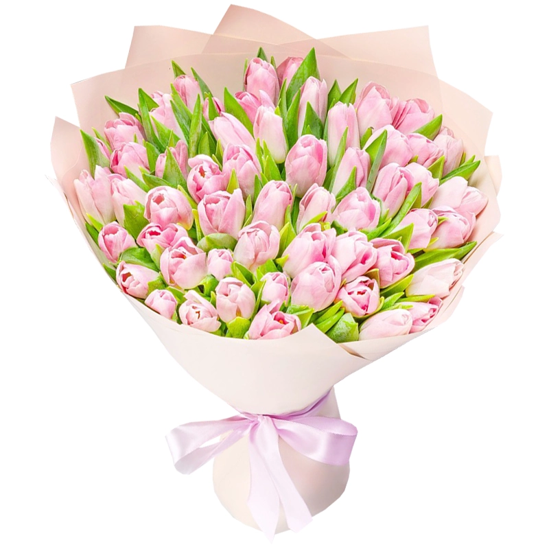 51 нежно розовый тюльпан